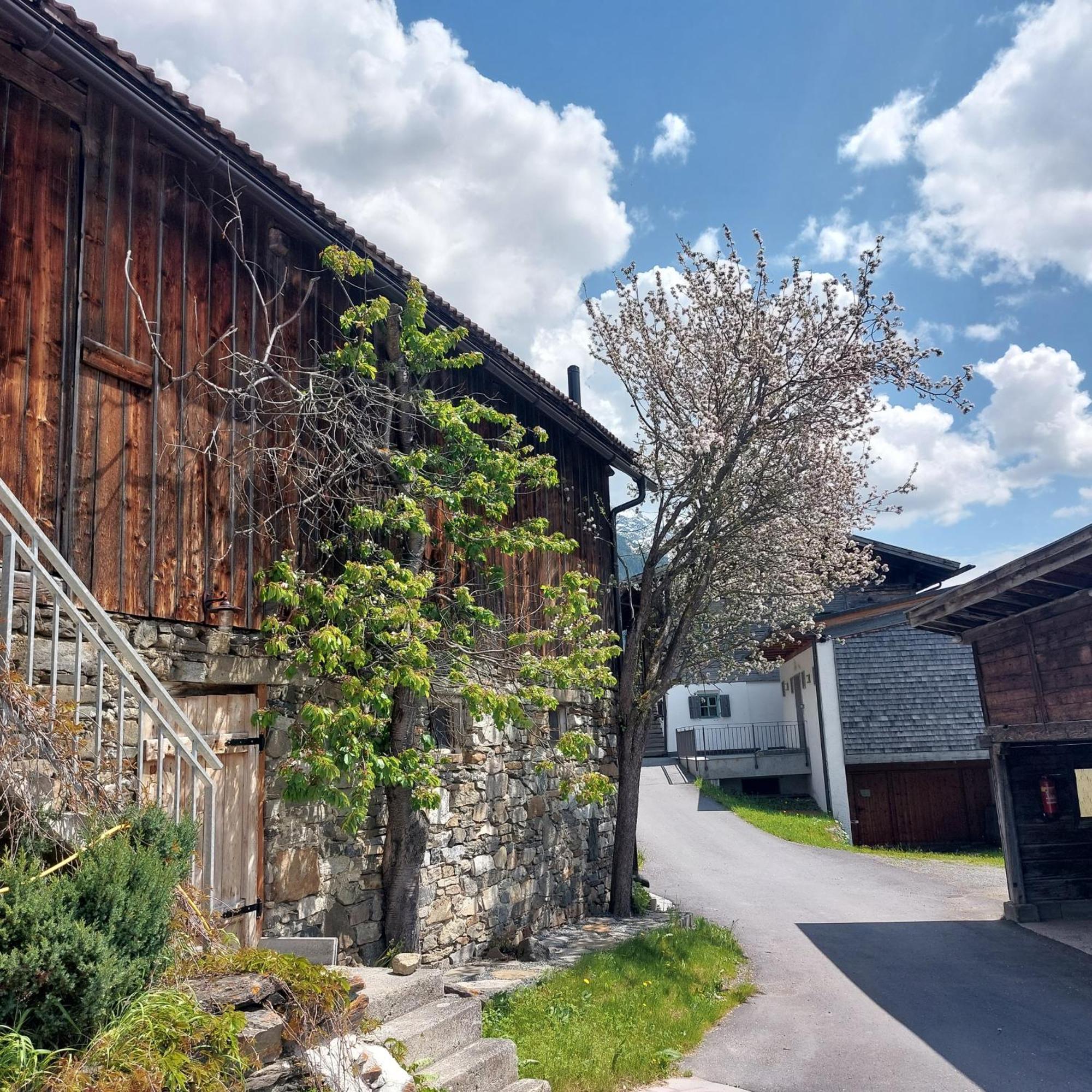 Apartmán Bichlhof *